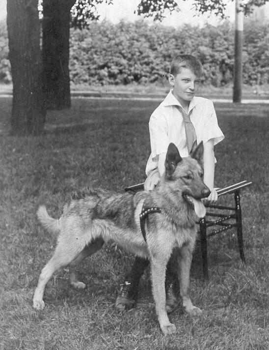 boy and dog