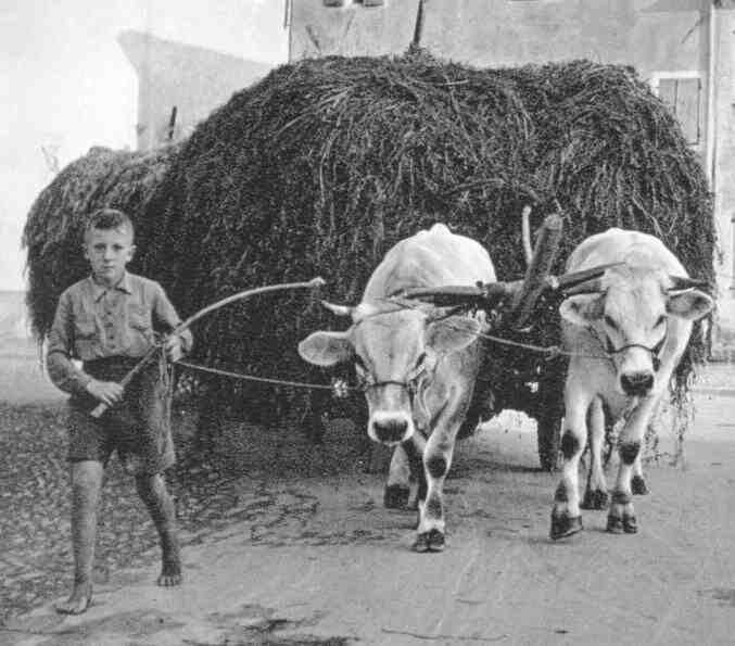 Italian child labor