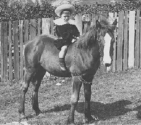 Australian Fauntleroyv suit
