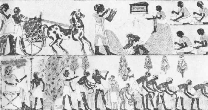 ancient Egypt social class