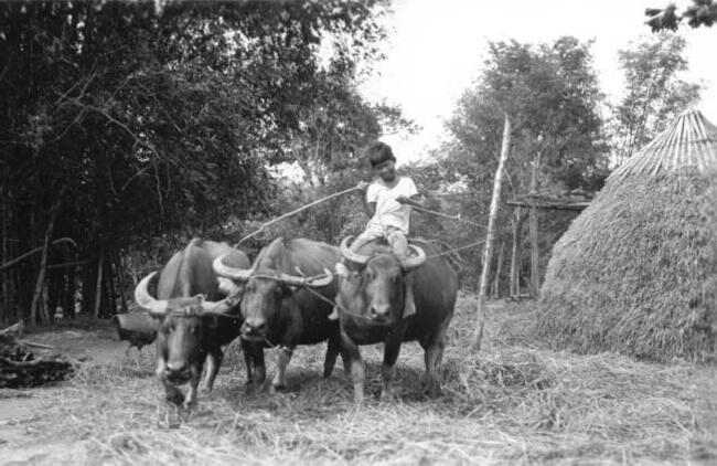 Filipino children