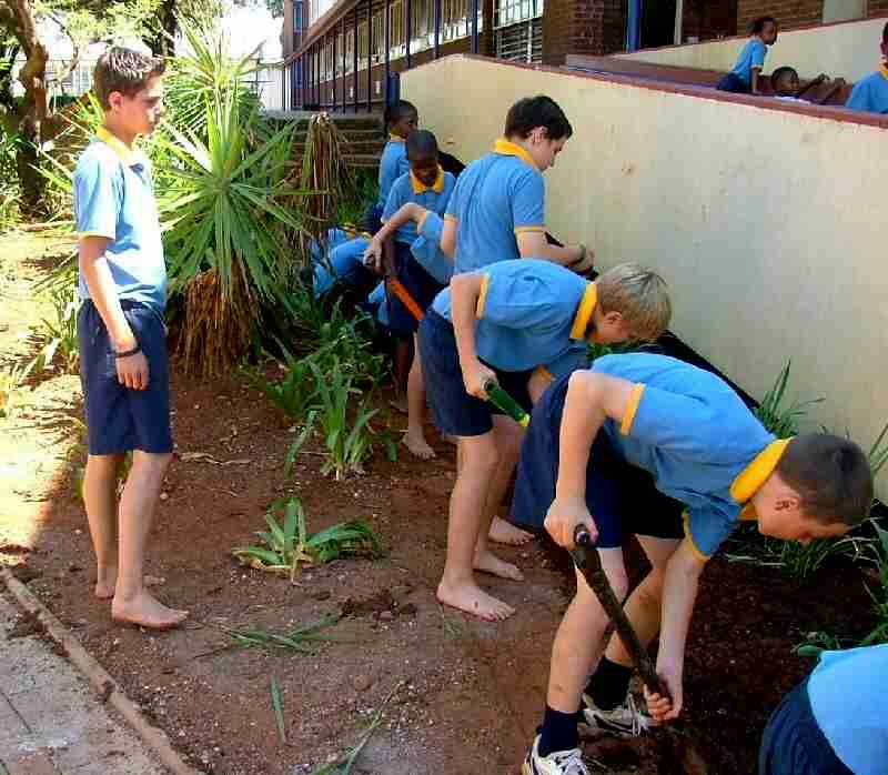 school garden