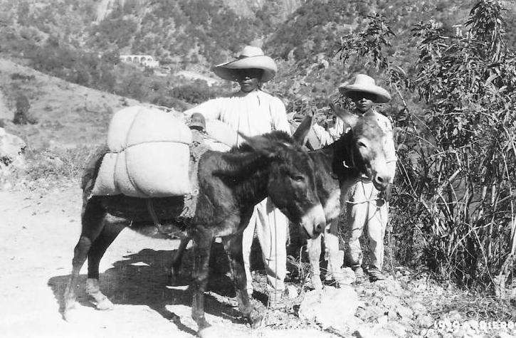 Mexican campesino