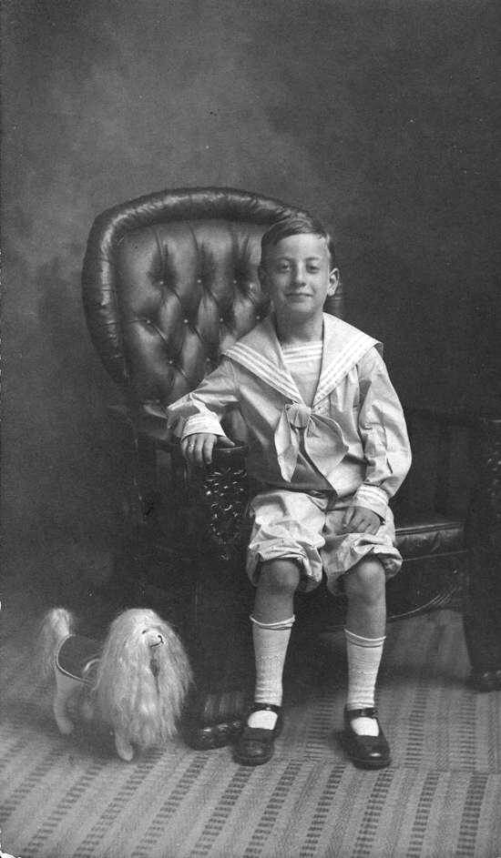 sailor suit dickey emblems