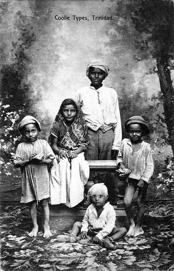 Trinidad coolies