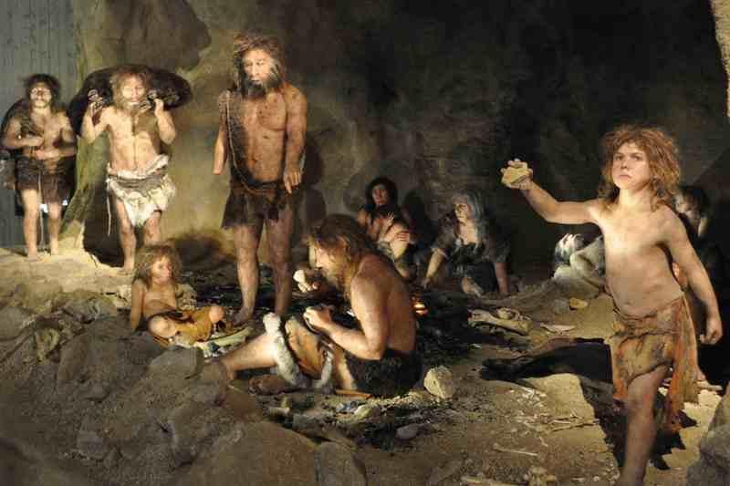 Neanderthals