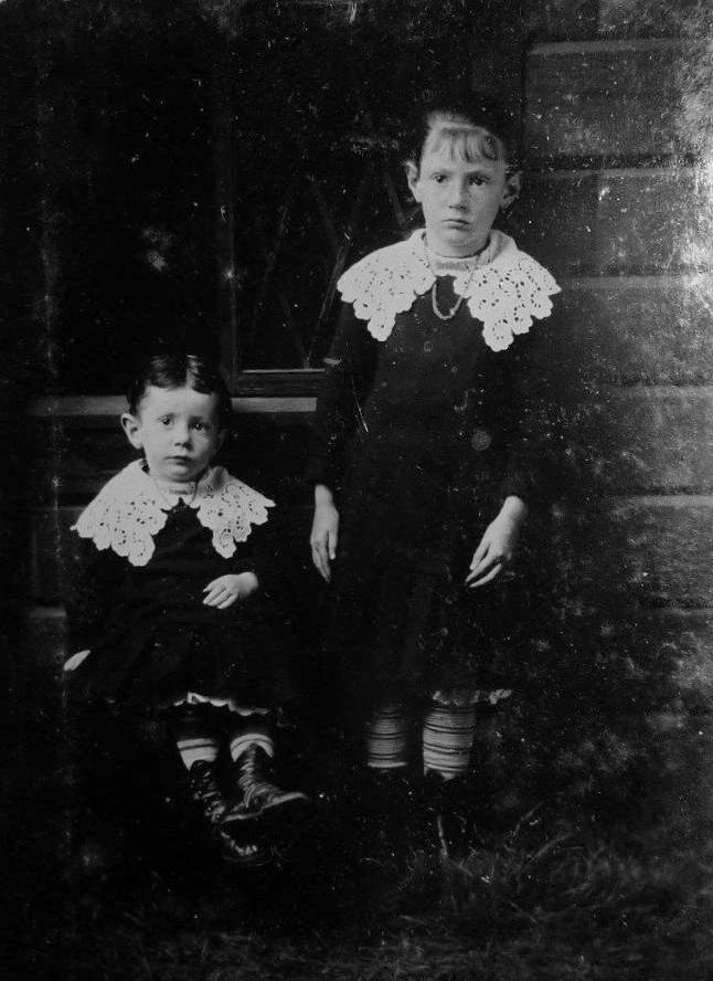 American lace collars