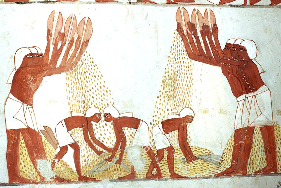 agricultural revolution