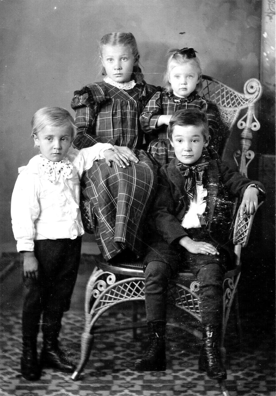 Fauntleroy blouses
