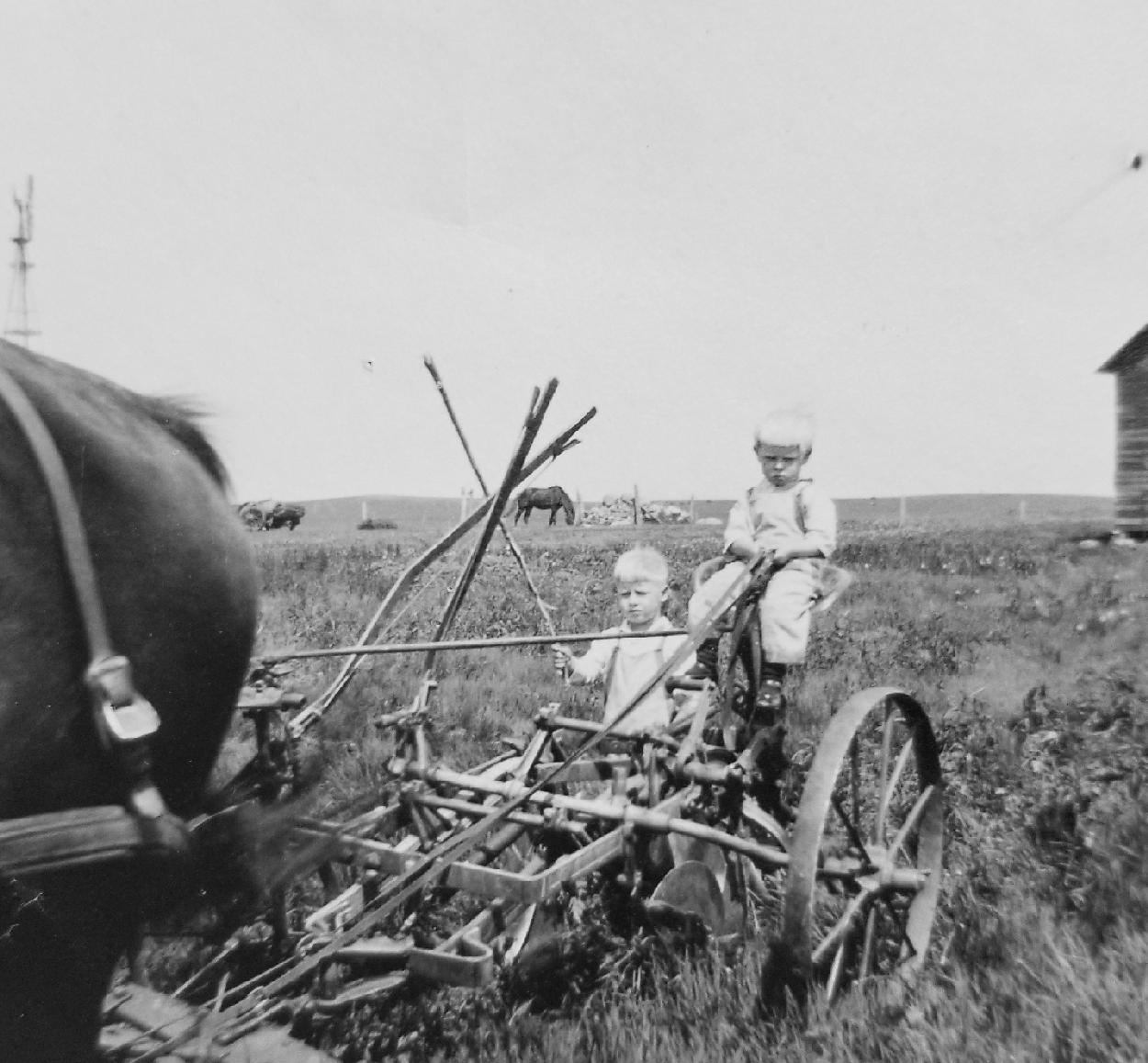 North Dakota farm