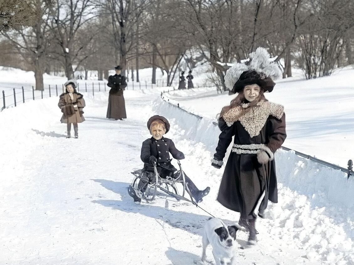 New York Central Park winter