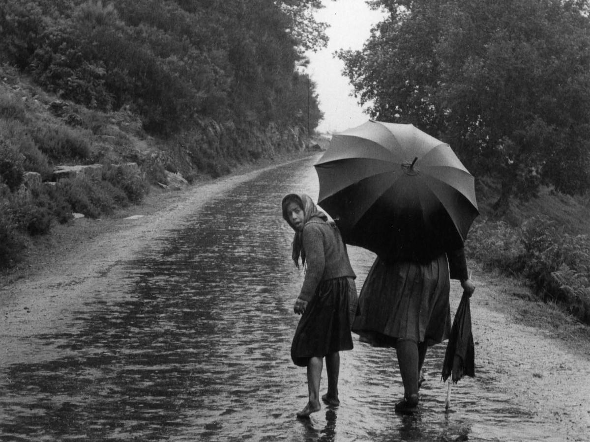 Portuguese boys activities