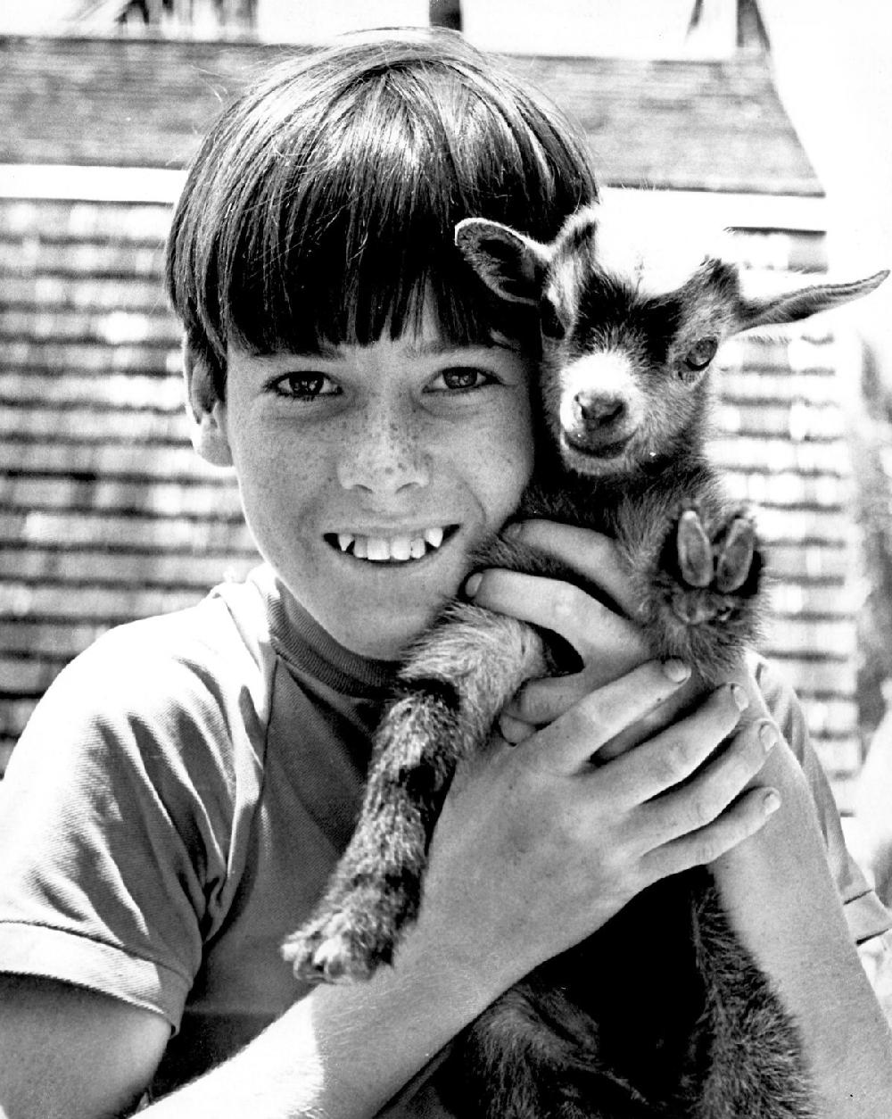 American school field trips