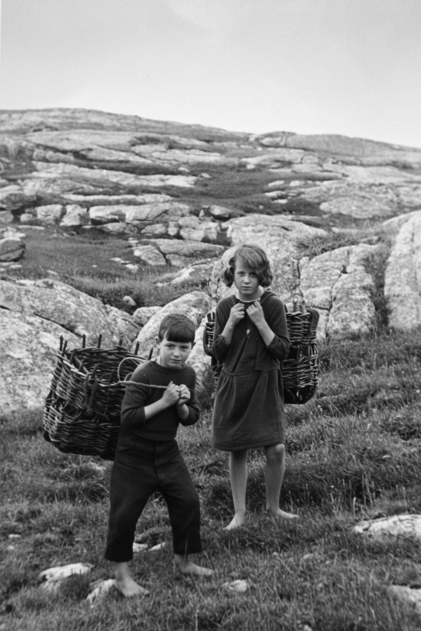 Hebrides peat