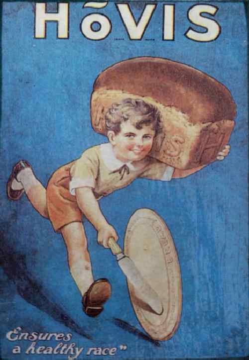 English advertisements boys clothing