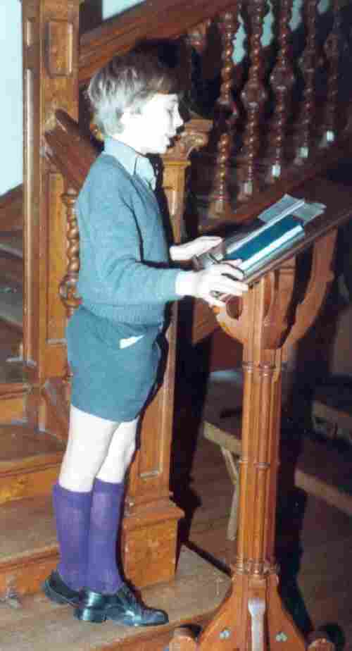 boys purple knee socks