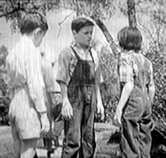 To kill a mockingbird