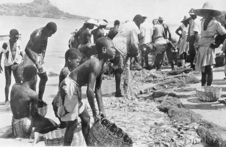 St. Lucia fishing