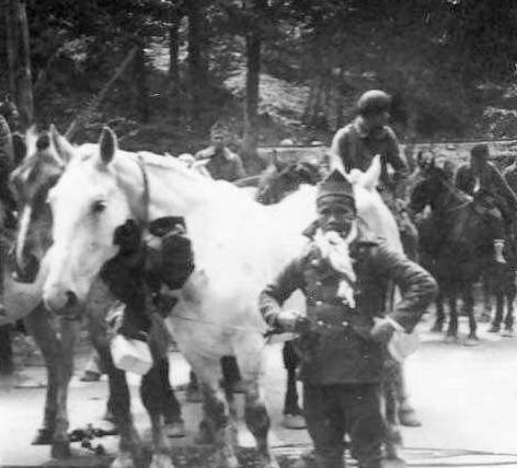 French colonial troops World War II