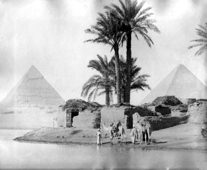 agriculture and civilization