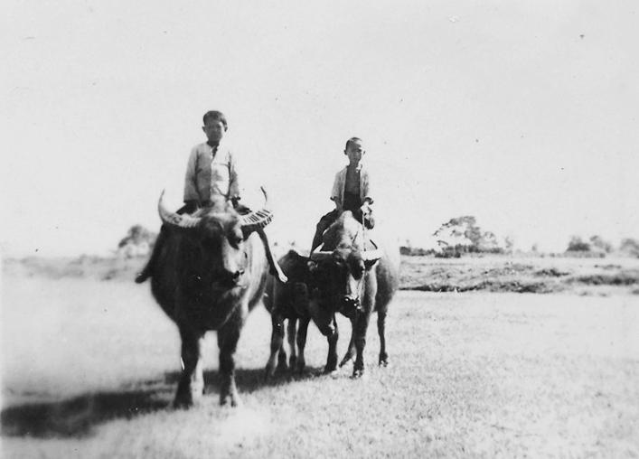 World War II and ChinaJ