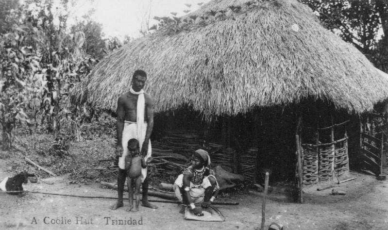 Trinidad coolies