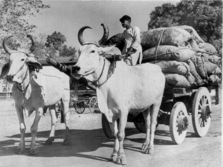 British India