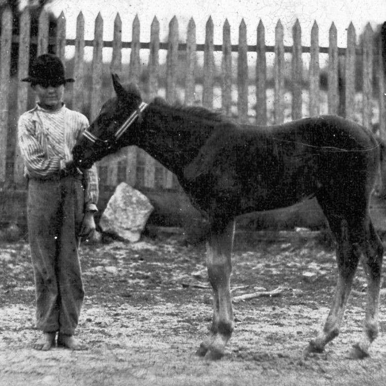 American history 19th century