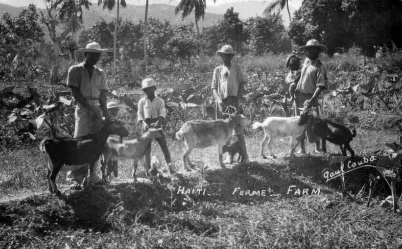 Haitian children