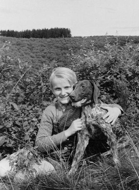 World War II animals