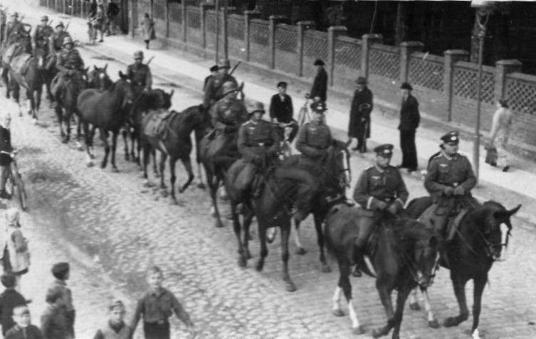 World War II Geman horses