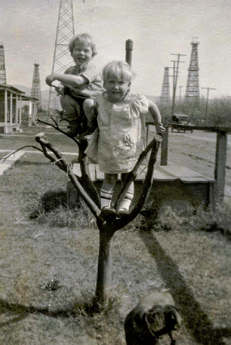 hydrocarbon industry