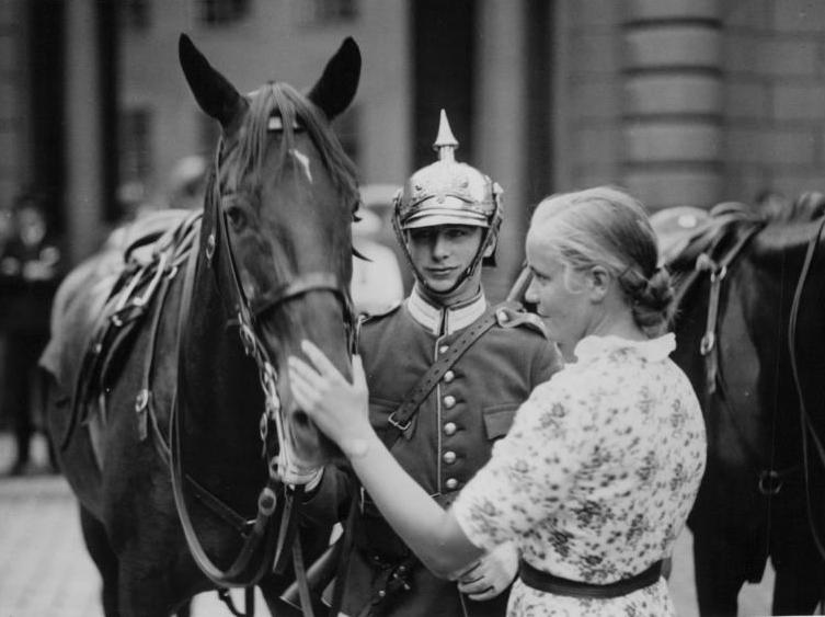 World War II horses