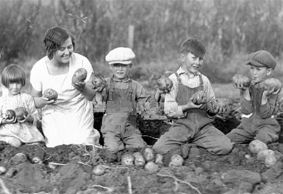 food in World War II