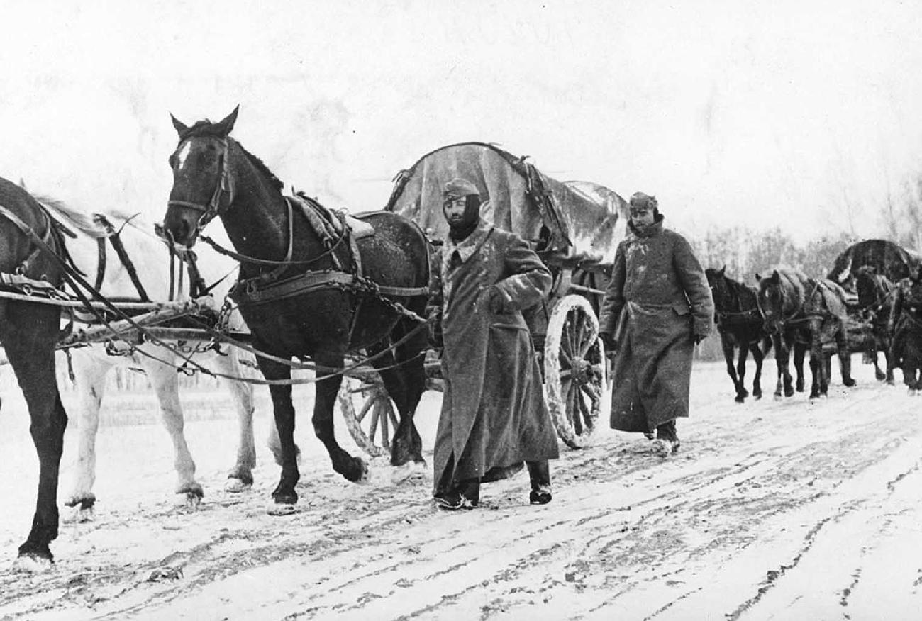 German horse-drawn carts