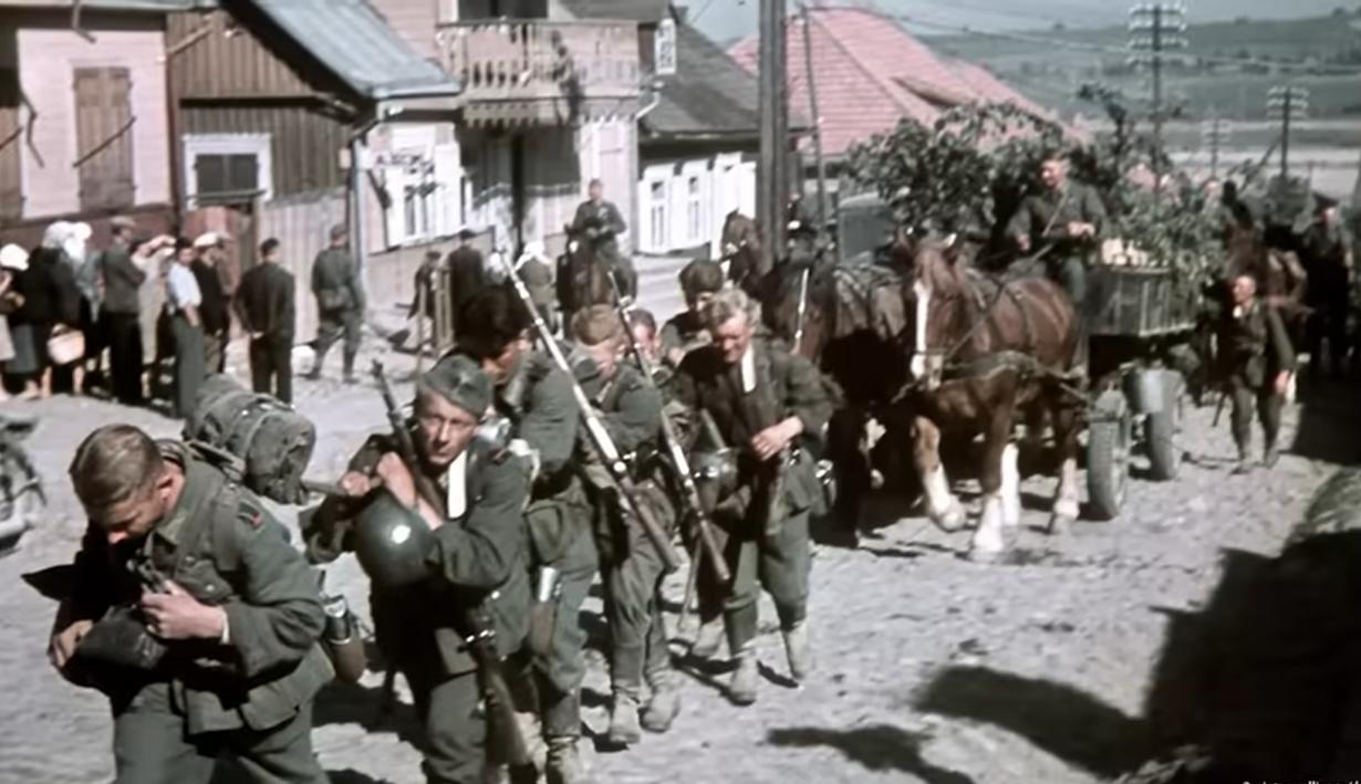 World War II German horses
