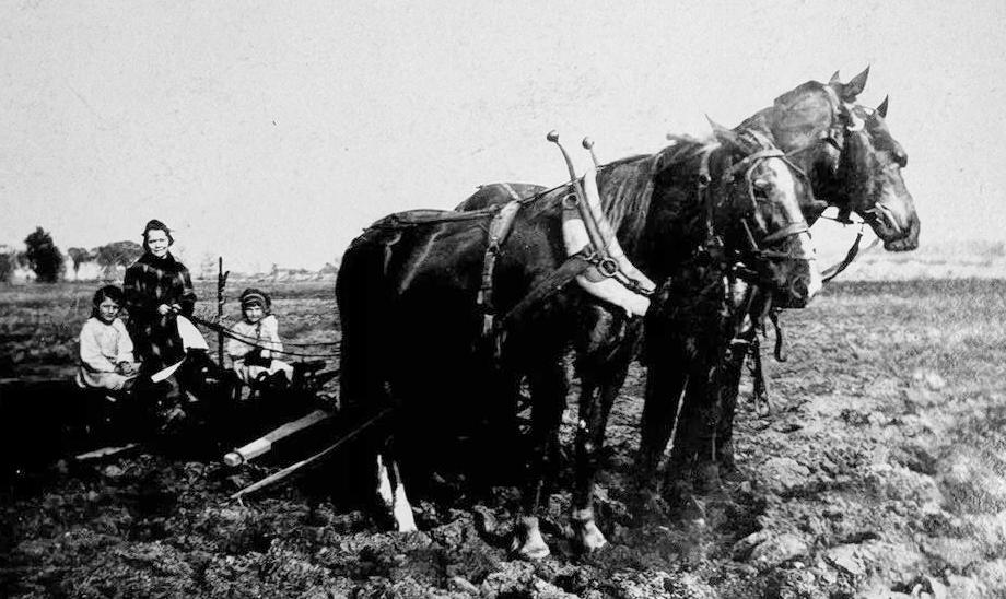 American agriculture 1910s