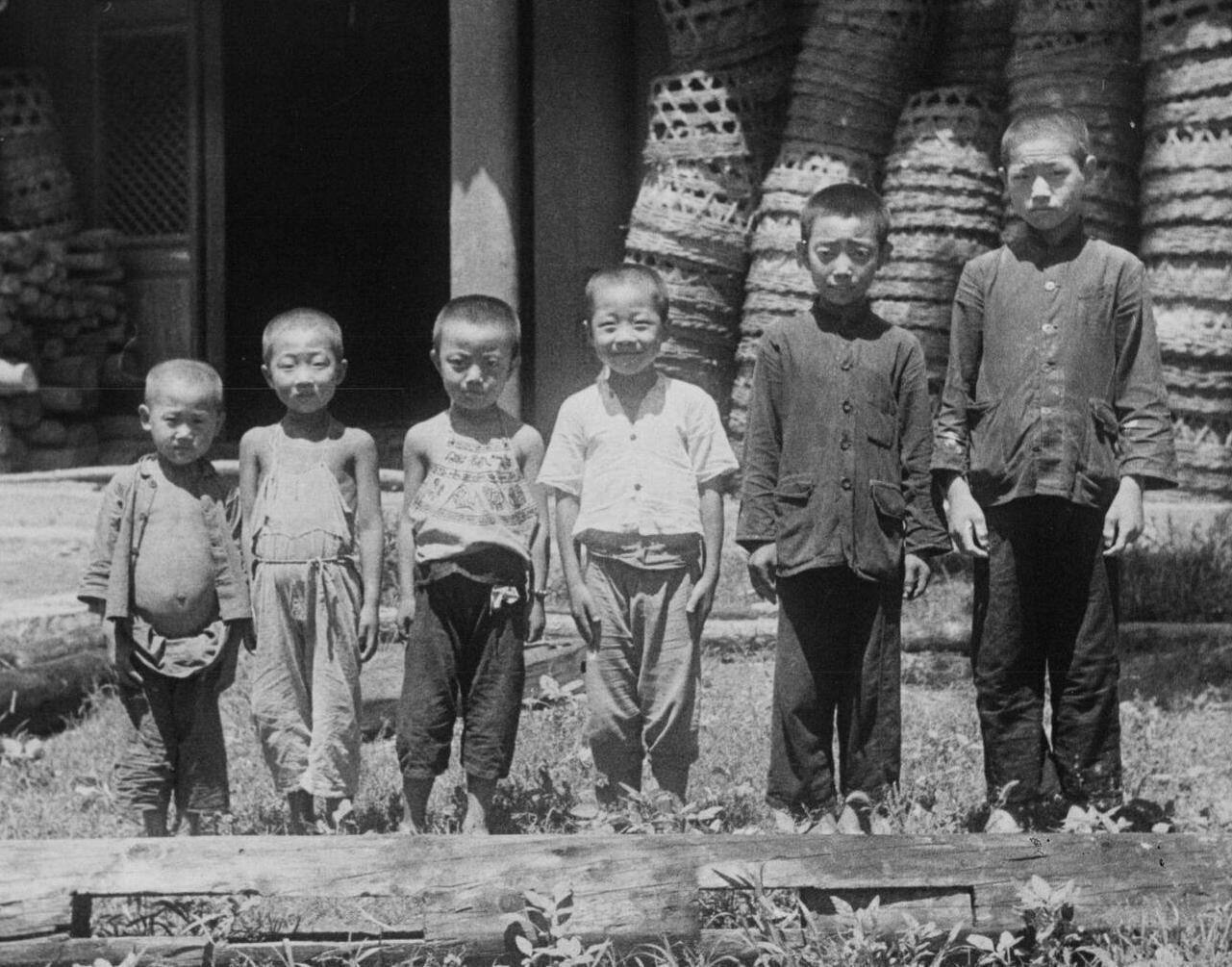 Chinese demographics