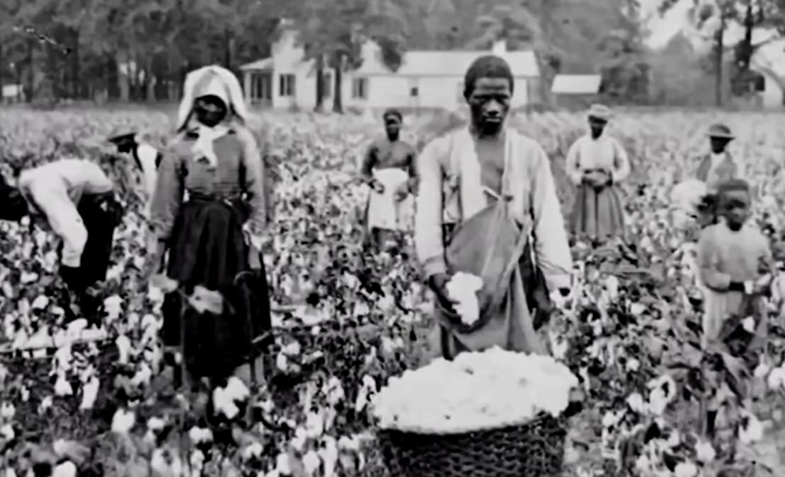 slavery and capitalism